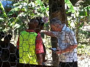 12565563_10208525207625633_3011185863019712917_n